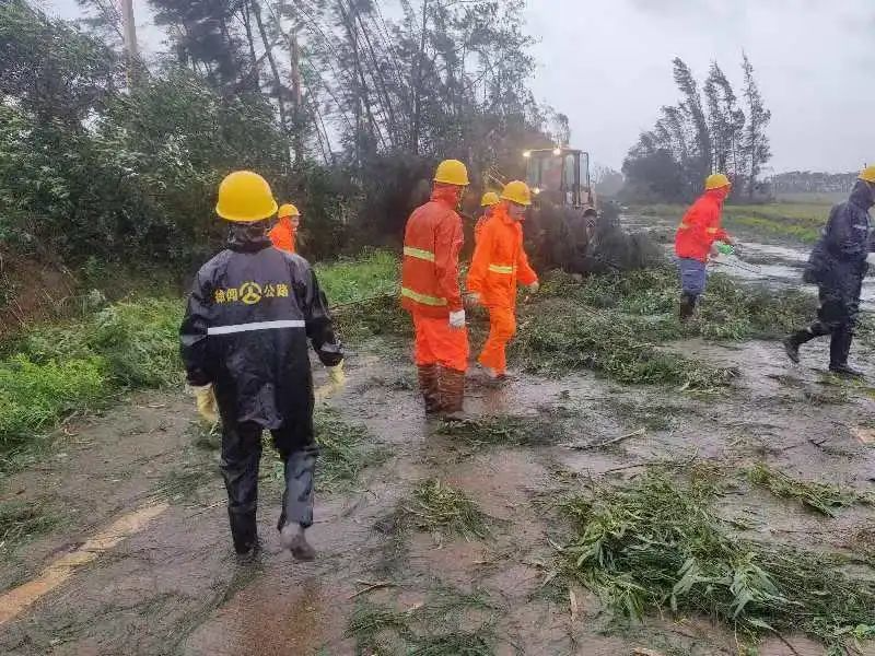 湛江市黄色网站
门清理S376线锦和路段倒伏的树木。