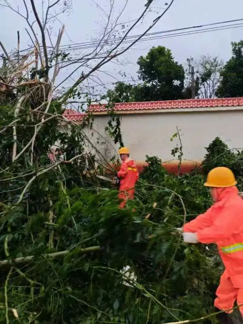 湛江市黄色网站
门清理下桥至英利路段倒伏的树木。